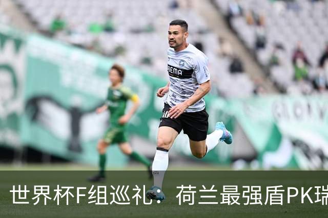 世界杯F组巡礼：荷兰最强盾PK瑞典犀利刀 日本短板明显