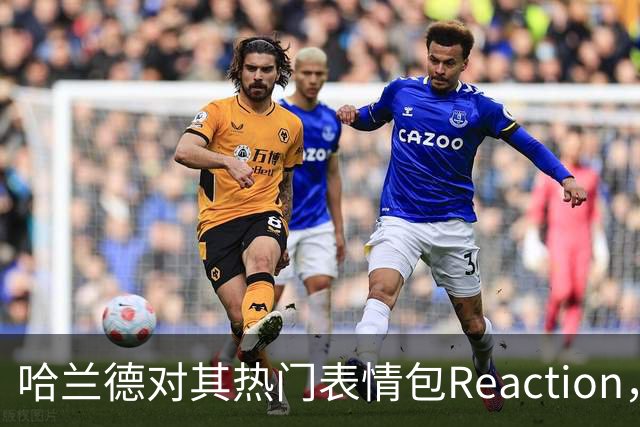 哈兰德对其热门表情包Reaction，荷兰弟想招募他到热刺？