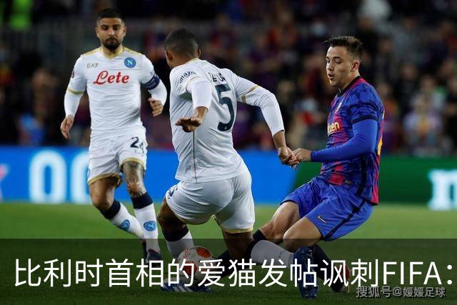 比利时首相的爱猫发帖讽刺FIFA：“红牌？”我照样继续踢！