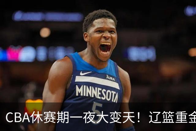 CBA休赛期一夜大变天！辽篮重金加入布朗抢夺大战，胡金秋报价虚高，最终或将有价无市无法转会